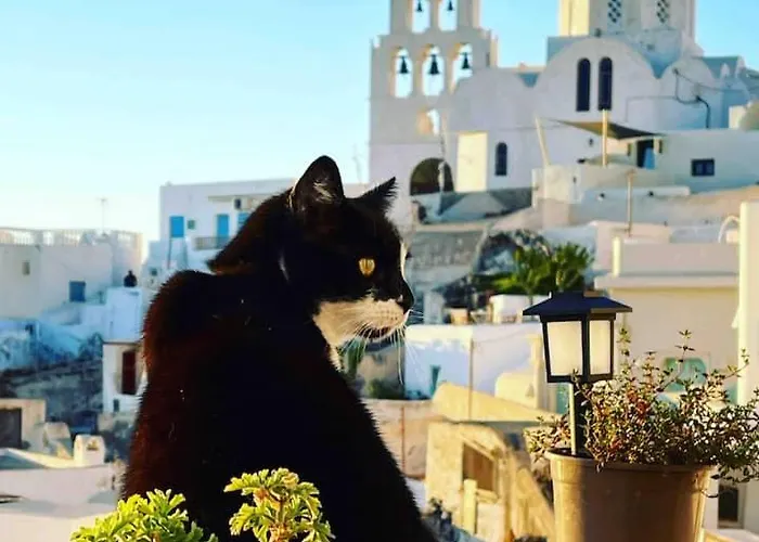 Daire Villa Artemis By Μρs *