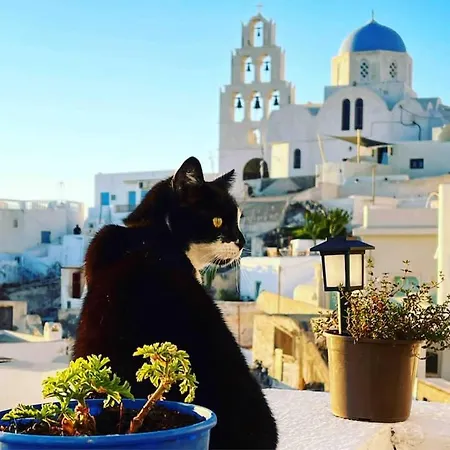 Appartement Artemis By μρs *